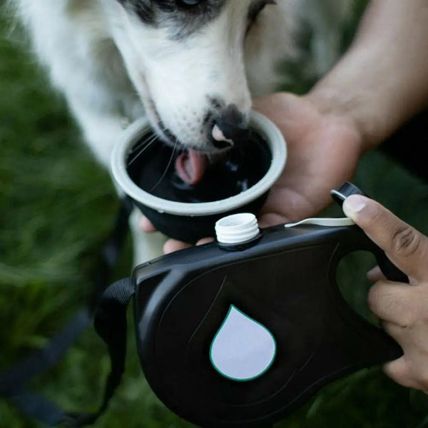 All-in-One Dog Adventure Leash
