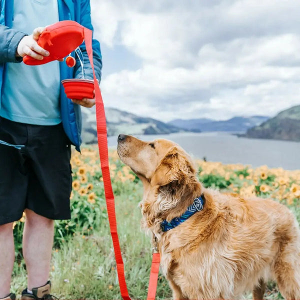 All-in-One Dog Adventure Leash